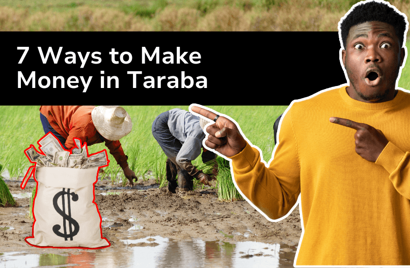 7 Ways to Make Money in Taraba