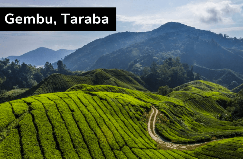 Gembu: A Hidden Gem in Taraba State