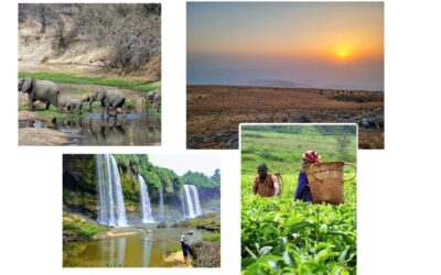 Top Destinations to Visit in Taraba State, Nigeria: Explore the Hidden Gems