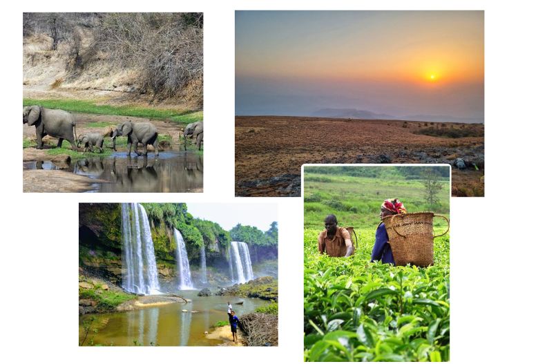 Top Destinations to Visit in Taraba State, Nigeria: Explore the Hidden Gems